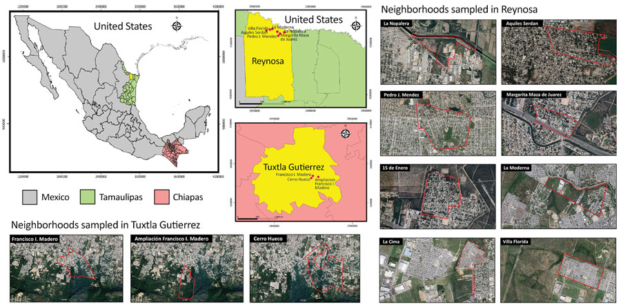 Sampling locations in Tuxtla Gutierrez, Chiapas, and Reynosa, Tamaulipas, Mexico, for study of  neutralizing antibodies for mosquito-borne flaviviruses in domestic dogs. Map was created using QGIS 3.18.2 (https://qgis.org/en/site) with public domain map data from Instituto Nacional de Estadística, Geografía e Informatica (National Institute of Statistics, Geography, and Computer Science [INEGI]; https://www.inegi.org.mx/app/mapas) and satellite images from Google Maps (https://www.google.com.mx/maps).