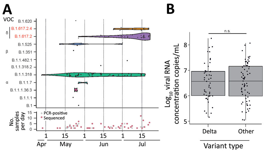 Virologic data on SARS-CoV-2 variants from respiratory samples, Benin, 2021. A) Top Gaussian kernel smoothed violins representing the density of observed occurrences per SARS-CoV-2 lineage at a given time point during the sampling period from the end of April until mid-July 2021. Black dots represent lineage occurrences of 114 generated genomes. Height of the violin plot corresponds to density of lineage in time. Bottom of graph shows collection date of the 200 SARS-CoV-2–positive samples collected for this study. Red indicates the subset for which near-full genomes were generated. Both plots were generated using the ggplot2 package in R (R Foundation for Statistical Computing, https://www.r-project.org). B) Log10 SARS-CoV-2 RNA concentrations of Delta variant strains versus all other lineages. Points represent each individual Log10 concentration. Box plots indicate interquartile range; whiskers represent the maximum and minimum values; horizontal line indicates the median. Plot was generated using the ggplot2 package in R. NS, not statistically significant by Student t-test; SARS-CoV-2, severe acute respiratory syndrome coronavirus 2; VOC, variant of concern. 
