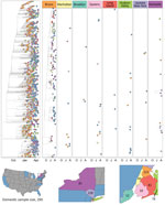 Time-calibrated phylogeny of severe acute respiratory syndrome coronavirus 2 variant B.1.526, New York and other states, USA, December 2020–April 2021. Left panel represents a maximum-likelihood phylogeny of 980 genomes from New York and other US states generated in IQTree 1.6.12 (20) with timescale inferred by TreeTime 0.7.6 (22) and ancestral state reconstruction performed in BEAST 2.6.2 (23). Faceted panels indicate the source of B.1.526 introductions into different regions of New York and other states (domestic). Only introductions supported by an ancestral state probability of >0.7 are shown. Bottom panel shows locations sampled and sample sizes. A, April; J, January; O, October.