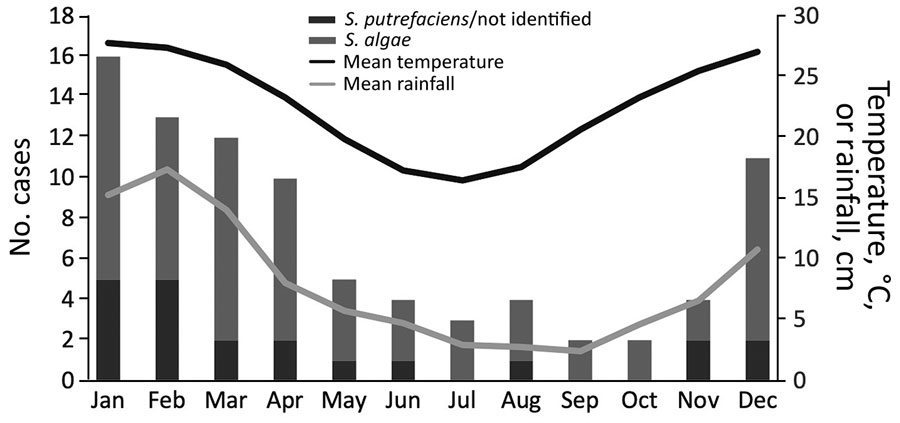 Monthly occurrence of Shewanella species bloodstream infections and mean temperature and rainfall, Queensland, Australia.