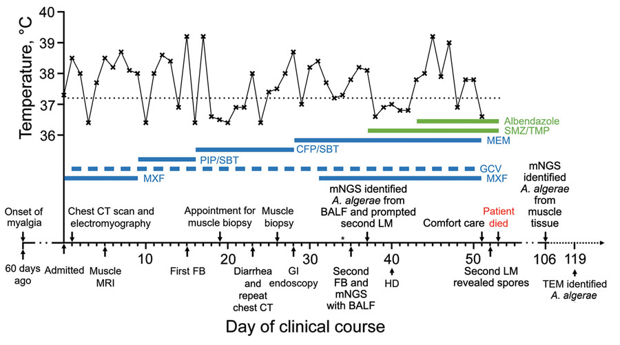 Clinical course of a 45-year-old patient with Anncaliia algerae microsporidia infection, China. The upper section of the graph shows the body-temperature curve (black line); dotted black line indicates 37.2°, the upper limit of normal body temperature. Thick blue and green lines indicate medications administered; dashed thick blue line indicates a dosing frequency of every other day. Major events during the patient’s course are indicated by arrows on the x-axis. Asterisk on day 34 denotes the initial light microscopy, which failed to detect A. algerae spores. BALF, bronchoalveolar lavage fluid; CFP/SBT, cefoperazone/sulbactum; CT, computed tomography; FB, fiberoptic bronchoscopy; GCV, ganciclovir; GI, gastrointestinal; HD, hemodialysis; LM, light microscopy; MEM, meropenem; mNGS, metagenomic next-generation sequencing; MRI, magnetic resonance imaging; MXF, moxifloxacin; PIP/SBT, piperacillin/sulbactum; SMZ/TMP, sulfamethoxazole/trimethoprim; TEM, transmission electron microscopy.