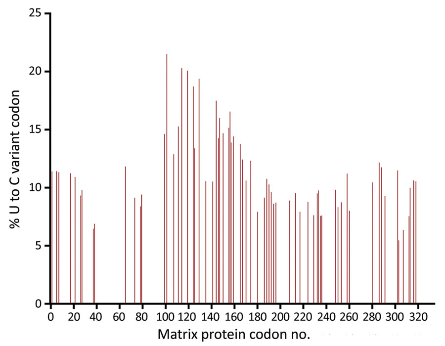 Sequenced vaccine-strain measles virus matrix protein gene from a 1-year-old patient’s brain tissue, California, USA. Results show biased hypermutation of uracil-containing codons, with >1 U-to-C mutation at levels ≥5%, consistent with hypermutation of the matrix gene as found in central nervous system measles virus infections such as subacute sclerosing panencephalitis and measles inclusion body encephalitis. C, cytosine; U, uracil.