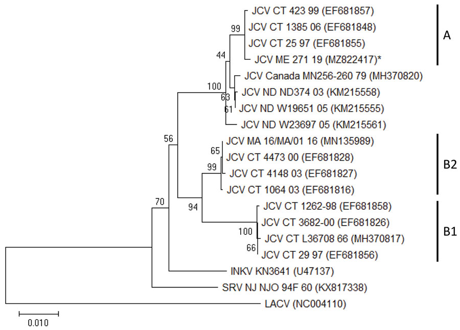 Phylogenetic analysis of JCV from collected mosquitoes, Maine, USA, 2017–2019. We compared a JCV sequence detected in mosquitoes from Maine to sequences from JCV and other viruses detected in other areas of the United States and Canada. We analyzed sequences by using the neighbor-joining method in MEGA X (https://www.megasoftware.net). The state or region of origin, strain, and year of isolation or detection are indicated for each virus, when available; GenBank accession numbers are provided. Asterisk indicates the sequence generated in this study. Numbers at branch nodes represent bootstrap values. Virus clades are indicated on the right. Scale bar indicates nucleotide substitutions per site. INKV, Inkoo virus; JCV, Jamestown Canyon virus; LACV, La Crosse virus; SRV, South River virus.