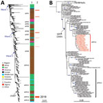 Phylogenomic analyses of Vibrio cholerae O1 El Tor isolates from Algeria, 2018. A) Maximum-likelihood phylogeny for 1,285 seventh pandemic V. cholerae biotype El Tor genomic sequences. A6 was used as the outgroup (Appendix 1, Table 4). Genomic waves and acquisition of ctxB7 allele are indicated. Sublineages previously introduced into Africa (AFR1, AFR3–AFR13) are shown at the right of the tree. Column 1 indicates the geographic origins of the isolates; column 2 indicates isolates from the 2018 cholera outbreak in Algeria, all of which belong to a new seventh pandemic wave 3 sublineage AFR14. B) Maximum-likelihood phylogeny for 115 wave 3 ctxB7 isolates belonging to the distal part of the tree in panel A. N16961 was used as the outgroup (Appendix 1, Table 4). The isolates belonging to AFR14 from the 2018 cholera outbreak in Algeria are shown in red. Acquisition of the polymyxin susceptibility–associated single nucleotide variant in vprA (D89N) is indicated. Blue dots indicate bootstrap values >90%. Scale bars indicate the number of nucleotide substitutions per variable site.