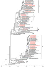 Maximum clade credibility trees of hemagglutinin gene of influenza A(H5N6) viruses, China. Red indicates human-origin H5N6 viruses; blue triangles indicate H5Ny vaccine strains recommended by the World Health Organization; blue dot indicates the most recent common ancestry of clade 2.3.4.4b A(H5N6) human viruses in 2021. Posterior probabilities >0.9 are labeled on the branches.