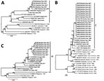 Phylogenetic trees of dengue virus (DENV) serotypes 1 (A), 2 (B), and 3 (C), inferred from an alignment of the 2017 Burkina Faso dengue virus outbreak genomes (boldface) and all other complete genomes from US National Institutes of Health National Institute of Allergy and Infectious Diseases Virus Pathogen Database and Analysis Resource (http://www.viprbrc.org) and pruned to representative genotypes. The Burkina Faso genomes were DENV-1 genotype V, DENV-2 genotype Cosmopolitan, and DENV-3 genotype III. GenBank accession numbers are provided for reference genomes. 