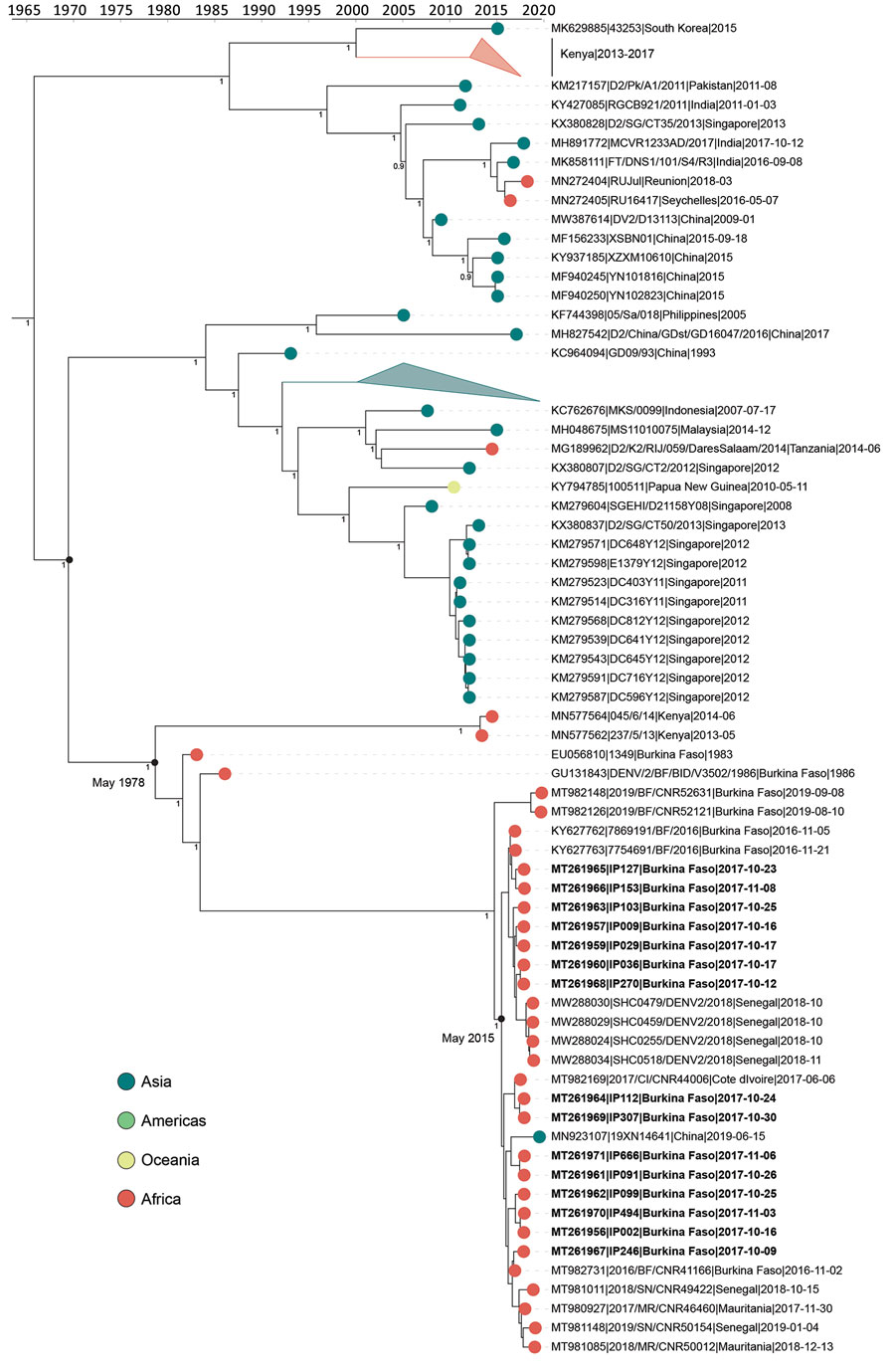 Time-calibrated phylogenetic trees of a subset of global dengue virus 2 genomes and 2017 Burkina Faso dengue virus outbreak genomes (boldface). Colored circles indicate geographic origin. Dates indicate the most recent common ancestor for the 2017 Burkina Faso dengue virus outbreak and all genomes from Africa. Posterior probabilities are indicated at major nodes. GenBank accession numbers are provided for reference genomes.