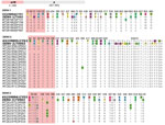 Dengue virus prM and E protein sequence alignments of Dengvaxia and TetraVax-DV-TV003 vaccine strains (boldface) and 2017 Burkina Faso dengue virus outbreak genomes for serotypes 1, 2, and 3. Only amino acid positions with disagreements are shown; single-point disagreements are highlighted. For clarity, prM protein sequences are shaded in red. Numerals represent the prM and E protein amino acid position. CYD, Dengvaxia vaccine; DENV-1, dengue virus serotype 1; DENV-2, dengue virus serotype 2; DENV-3, dengue virus serotype 3; E, envelope; prM, premembrane; TV003, TetraVax-DV-TV003 vaccine.