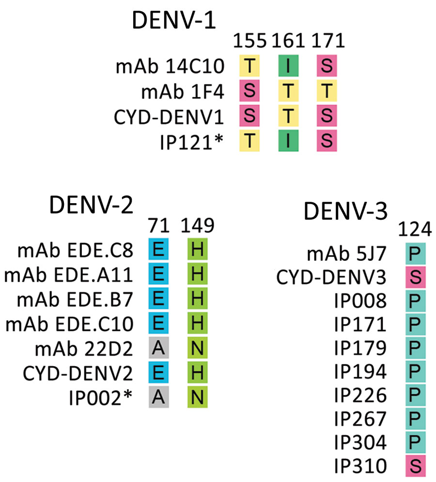 Amino acid mismatch comparison between 2017 Burkina Faso dengue virus outbreak genomes and virus neutralizing human mAbs for the 3 dengue virus serotypes. The amino acid changes presented are expected to disrupt binding between the envelope protein and heavy chain of the monoclonal antibodies. Dengvaxia vaccine amino acid included for comparison. Asterisk indicates all of the 2017 Burkina Faso dengue virus outbreak genomes share the same amino acid at that position. Numerals represent the E protein amino acid position. CYD, Dengvaxia vaccine; DENV-1, dengue virus serotype 1; DENV-2, dengue virus serotype 2; DENV-3, dengue virus serotype 3; E, envelope; mAb, monoclonal antibody.