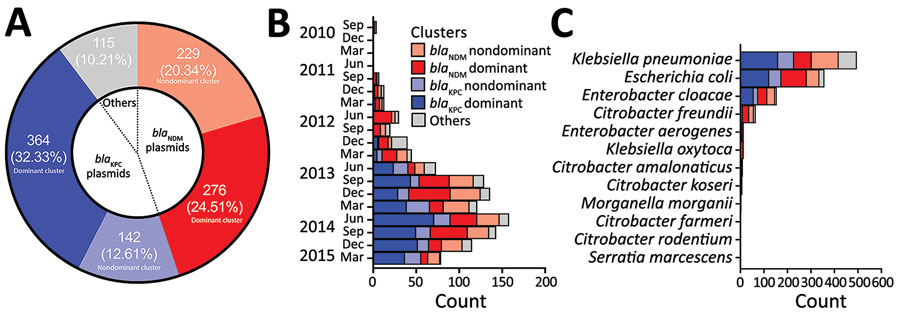 Percentage and distribution of dominant carbapenemase-encoding plasmids in clinical Enterobacterales isolates and hypervirulent Klebsiella pneumoniae, Singapore. A) Percentage distribution of the total carbapenemase-encoding plasmids identified. The blaKPC dominant cluster refers to those harboring pKPC2 plasmid; blaNDM dominant cluster refers to those harboring pNDM1 plasmid. Others indicate carbapenemase-encoding plasmids that do not carry blaKPC or blaNDM. B, C) Distribution of carbapenemase-encoding plasmids identified among Carbapenemase-Producing Enterobacteriaceae in Singapore (CaPES) (Enterobacteriaceae is the former name of Enterobacterales) samples collected during September 2010–March 2015 (B) and among Enterobacterales isolates (C). Nondominant cluster refers to other plasmids carrying blaKPC or blaNDM. We found that pKPC2 was the most dominant carbapenemase-encoding plasmid in Singapore during 2010–2015.