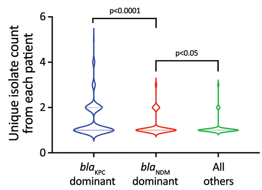 Violin plots showing the unique isolate counts from each patient in a study of dominant carbapenemase-encoding plasmids in clinical Enterobacterales isolates and hypervirulent Klebsiella pneumoniae, Singapore. Unique isolates were defined as different species or different sequence types from same species. We separated unique isolates into 3 groups: blaKPC dominant (n = 196), blaNDM dominant (n = 203), and all others (n = 504), which included blaKPC nondominant, blaNDM nondominant, and others. Brackets indicate p values for nonparametric Mann-Whitney tests between groups. 