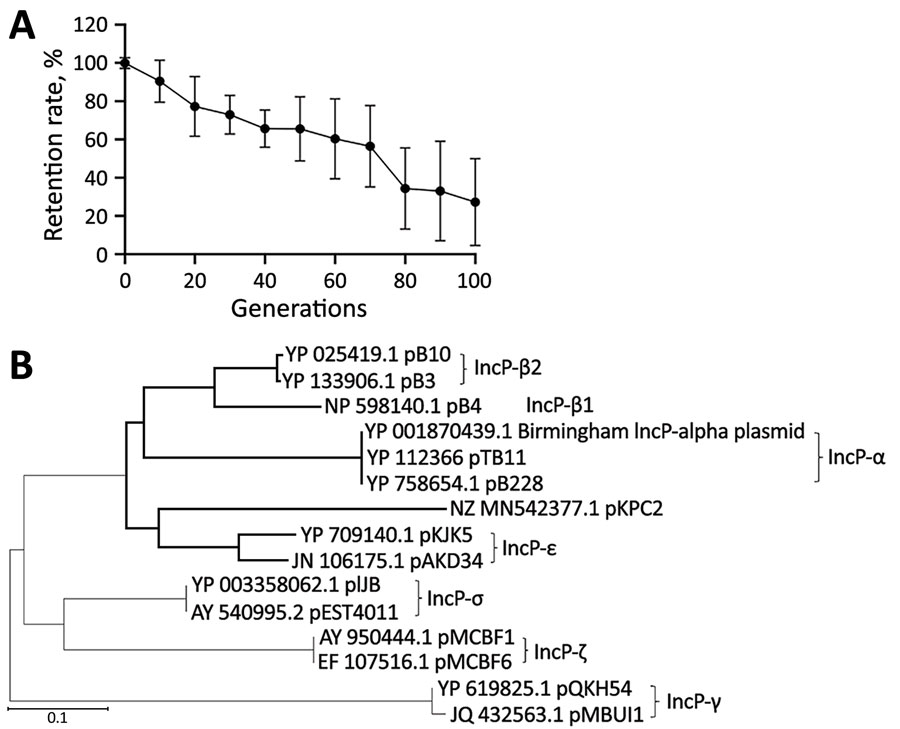 Plasmid incompatibility group analysis of pKPC2 carbapenemase-encoding plasmid in clinical Enterobacterales isolates and hypervirulent Klebsiella pneumoniae, Singapore. A) Stability of pKPC2KmR in Escherichia coli MG1655 harboring pRK2-AraE plasmid from IncP incompatibility group. Symbols indicate means and error bars indicate SDs from 3 independent experiments. B) Phylogenetic comparison of pKPC2 trfA replicon with other IncP plasmids among isolates. Scale bar indicates nucleotide substitutions per site. 