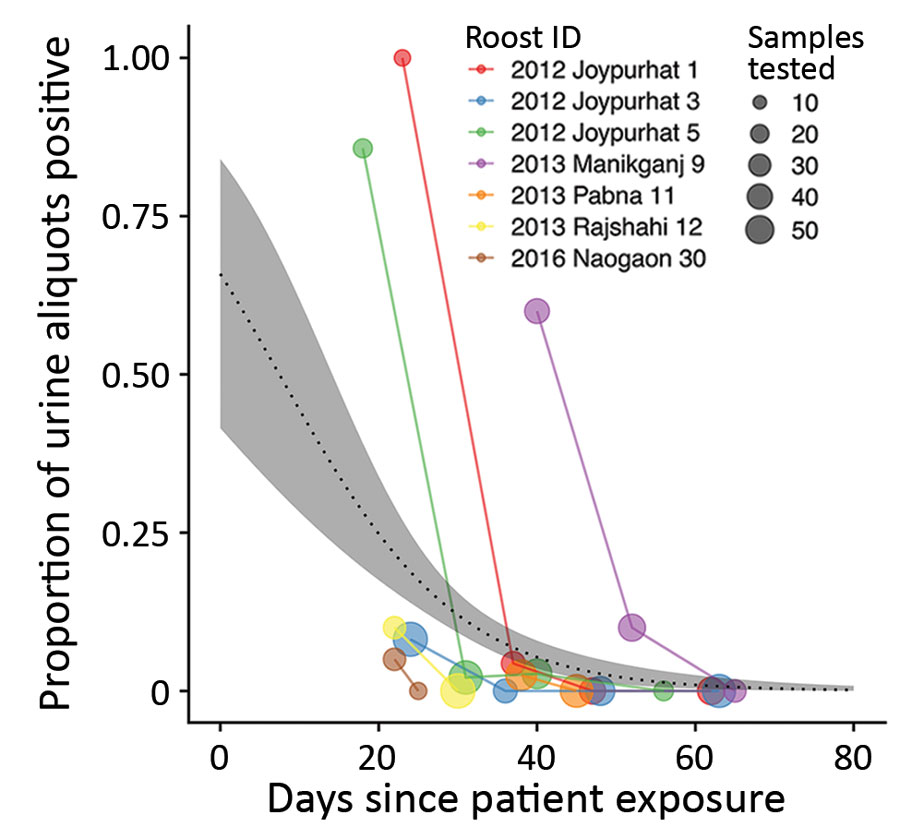 Results of screening of Pteropus medius bat roost urine aliquots for Nipah virus RNA, Bangladesh, 2012–2019. For each roost, the proportion of urine aliquots out of the total tested (indicated by the size of the circles) is aligned along a time axis of days since the first associated case-patient was exposed to Nipah virus in date palm sap. Time since patient exposure was either reported during the investigation or back-calculated as 7 days before reported symptom onset.