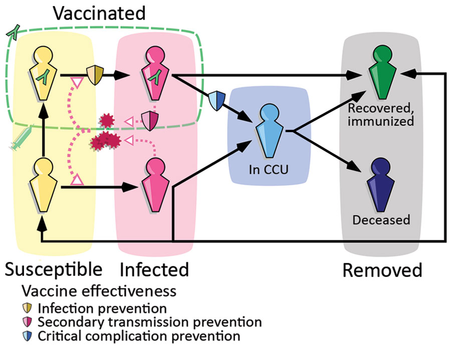 Epidemiologic modeling of the SARS-CoV-2 Omicron BA.2 wave dynamics, France. Simplified flowchart of the Covidsim framework. Persons can move between several compartments in the general population (in yellow or pink depending on the infection status), in CCUs in blue and removed from the system, either because of their immunity to BA.2 or of death (in gray). Part of the general population is vaccinated (green dashed line), which affects epidemiologic dynamics in 3 ways (illustrated with the shields), namely reduced infectivity, reduced virulence, and reduced risk for infection. CCU, critical care unit.