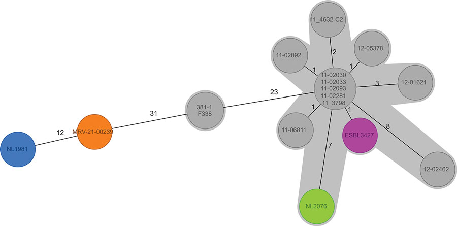 Minimum-spanning tree from cgMLST (Enterobase STEC scheme) of enteroaggregative Shiga toxin–producing Escherichia coli O104:H4 from the Netherlands and reference sequences. Colored isolates are those added during this study: green indicates the patient isolate from the Netherlands in 2020, purple the pork isolate from the Netherlands in 2017, blue the patient isolate from the Netherlands in 2019, orange the patient isolate from Austria in 2021. The gray-shaded area connects strains that have an allelic distance <10. ESBL, extended spectrum β-lactamase.