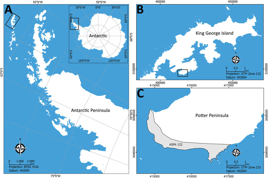 Sampling locations for study of Histoplasma capsulatum in Antarctica. A) Location of the Antarctic Peninsula in the Antarctica continent; B) King George Island; C) Potter Peninsula and the Antarctic Specially Protected Area ASPA N°132. Source: SCAR Antarctic Digital Database (https://www.scar.org/resources/antarctic-digital-database).