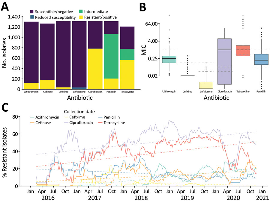 Antimicrobial resistance in 1,318 Neisseria gonorrhoeae isolates, Austria, 2016–2020. A) Number of isolates classified as susceptible, intermediate, or resistant. For ceftriaxone, isolates with reduced susceptibility are indicated in blue. For cefinase, β-lactamase producing isolates are indicated as positive (yellow). B) Boxplots of MIC obtained by Etest. Dashed lines indicate the thresholds used to classify the isolates as susceptible, intermediate, or resistant for ciprofloxacin, tetracycline, and penicillin, as susceptible or resistant for azithromycin, cefixime, and as susceptible, reduced susceptibility, or resistant for ceftriaxone. Horizontal lines within boxes indicate median, box tops and bottoms indicate quartiles 1 and 3, and dots indicate potential outliers. C) Evolution of the frequency of resistant isolates over time. Plain lines indicate the 13-week moving average of the percentage of isolates classified as resistant. Trends over time (obtained by linear regression) are represented by the dashed lines.