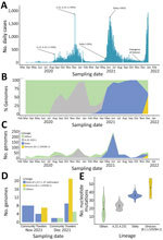 Rapid replacement of severe acute respiratory syndrome coronavirus 2 (SARS-CoV-2) variants by Delta and subsequent arrival of Omicron, Uganda, 2021. A) Coronavirus disease pandemic waves. Confirmed cases of daily coronavirus disease and trends of the SARS-CoV-2 pandemic over time. Three waves of the pandemic dominated by the A.23.1 in the first wave (December 2020‒January 2021), Delta in the second wave (May‒July 2021), and the Delta and Omicron variants in the third wave (Omicron emerged in late November 2021 and the wave began in December 2021). B, C) SARS-CoV-2 variants over time (950 genomes deposited in the GISAID database [https://www.gisaid.org] by January 10, 2022). D) SARS-CoV-2 variants during the third wave among travelers and community samples. E) Violin plots showing the distribution of whole-genome nucleotide mutations in each of the SARS-CoV-2 lineages by using the wild-type Wuhan-Hu-1/2019 isolate (GenBank accession no. MN908947) as the reference. Black dots indicate median number of nucleotide mutations. Error bars indicate interquartile ranges.