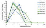 Oropharyngeal shedding of SARS-CoV-2 by red foxes (Vulpes vulpes) experimentally infected with SARS-CoV-2 as detected by plaque assay. Red foxes 1, 2, and 3 were euthanized at 3 days postinfection. PFU, plaque-forming unit.