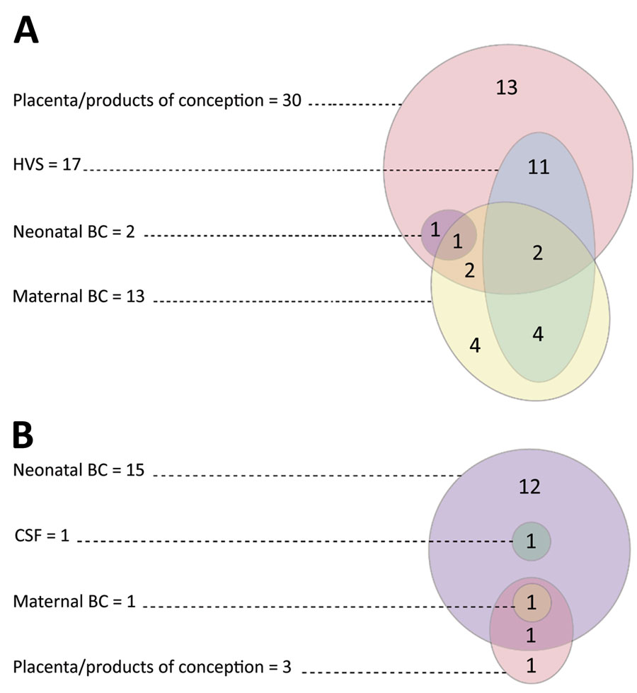 Sites from which Haemophilus influenzae was isolated in maternal cases (A) and neonatal cases (B), New Zealand. Overlapping colored circles and ovals indicate multiple types of samples collected from the same cases. BC, blood culture; CSF, cerebrospinal fluid; HVS, high vaginal swab.