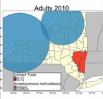 Anaplasmosis hotspots and coldspots and Bernoulli clusters of pathogenic and nonpathogenic genetic variants of Anaplasma phagocytophilum bacteria in adult and nymphal Ixodes scapularis ticks in New York, 2010–2018. Ap-ha, pathogenic variant; Ap-V1, nonpathogenic variant.