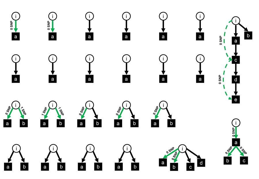 Transmission clusters of patients after exclusion of 5 exposed patients in whom phylogenetic data did not support transmission. Circles are index patients, squares are infected contact patients. Green arrows represent phylogenetically confirmed transmissions, with the labels “0 SNP” and “1 SNP” indicating 0 or 1 SNP difference between index and exposed patient. Green dashed arrows represent phylogenetic proof of second-generation transmission. Black arrows represent assumed transmissions without phylogenetic proof. i, index patient; a–d, exposed 