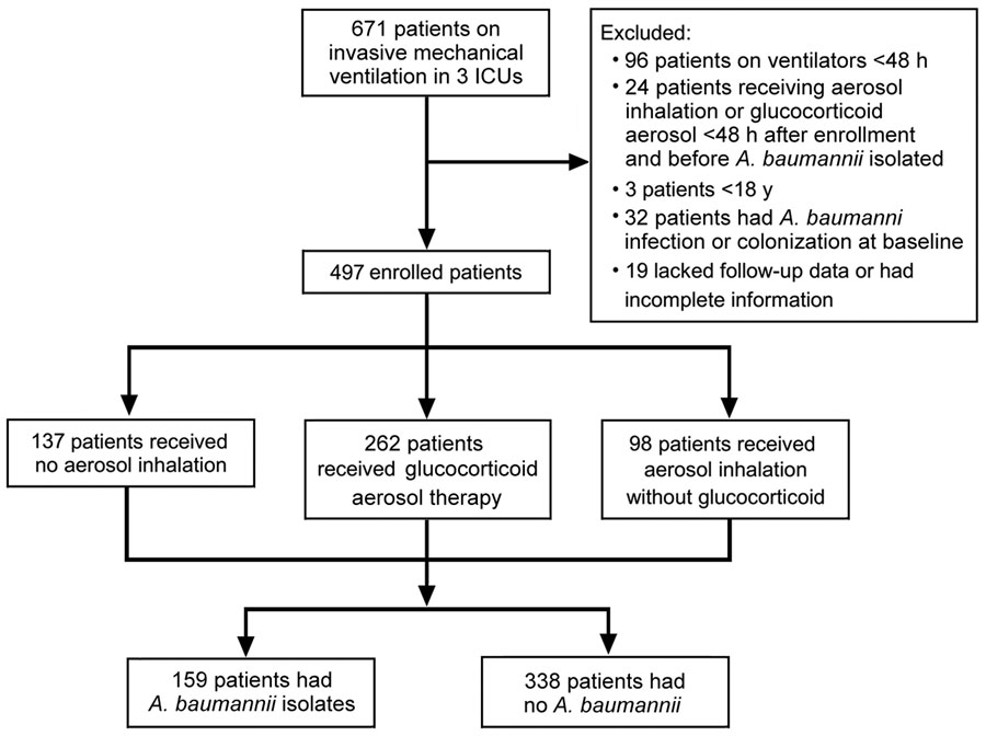 Flowchart for enrolling participants in a study of Acinetobacter baumannii among patients receiving glucocorticoid aerosol therapy during invasive mechanical ventilation, China. ICU, intensive care units.