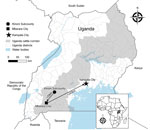 Locations where the index case-patient of a Rift Valley fever outbreak in Kinoni Subcounty sought care during the period of acute illness preceding her death, Uganda, 2021. Arrows indicate route patient followed during attempts to find diagnosis and care. Inset shows location of Uganda in Africa.