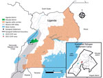 Location of Kyangwali Refugee Settlement (black box), Uganda, where 2 cases of Crimean-Congo hemorrhagic fever were reported during 2021. Inset shows close-up view of the settlement area, showing locations of 2021 cases and a previous case from 2019.