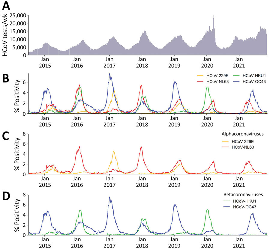 Total tests and percentage positivity of 4 common HCoVs from weekly aggregated data submitted to the National Respiratory and Enteric Virus Surveillance System, United States, July 2014–November 2021. A) Total specimens tested for all 4 HCoV types. B) Percentage positivity of the 4 HCoV types by week. C) Percentage positivity of the common alphacoronaviruses. D) Percentage positivity of the common betacoronaviruses. HCoVs, human coronaviruses.