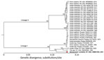 Maximum-likelihood phylogenetic tree of Powassan virus lineage I and II from Dermacentor variabilis ticks collected in New York, USA, and reference sequences. Phylogenetic analysis of the coding sequence (genome positions 108–10,352) of 29 publicly available Powassan lineage I and II genomes. Red circle and bold text indicate the virus sequenced in this study from the D. variabilis ticks; the virus is most closely related to other lineage I sequences from ticks in New York. Sequence names consist of host; location; GenBank accession number; year.