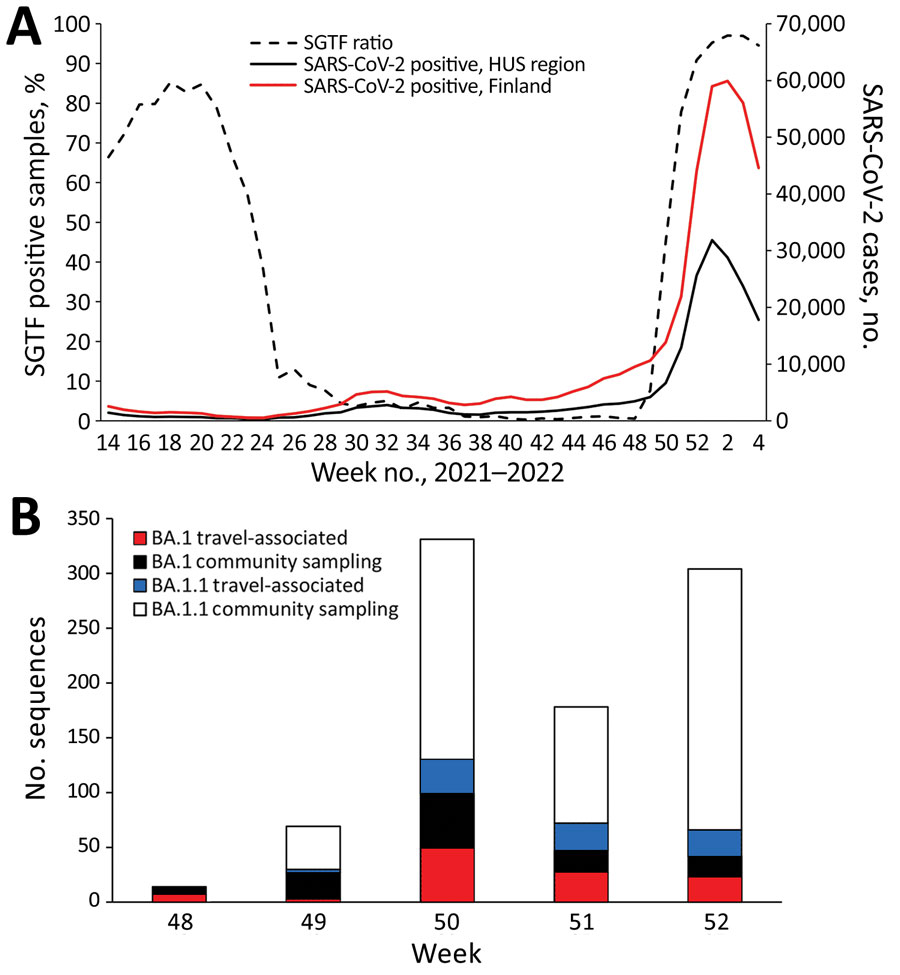 Introduction and spread of SARS-CoV-2 Omicron variant in Finland in late 2021–early 2022. A) Confirmed SARS-CoV-2 positives in Finland (red) and in the HUS region (black) and the proportion of SGTF measured by reverse transcription PCR–positive cases analyzed by the HUS Clinical Microbiology division (dashed line) from week 14 in 2021 through week 4 in 2022 (National Infectious Disease Registry, https://www.thl.fi/ttr/gen/rpt/tilastot.html). B) Weekly numbers of travel-associated and community sampling–derived Omicron cases (Pango lineages BA.1 and BA.1.1) for weeks 48–52, 2021. Travel-associated status was defined by either being sampled at a border or a patient record indicating most likely country of infection abroad. The lower amount of sequences obtained for week 51 originates most likely from the Christmas holiday season. Week 52 was the last full week of our study period. HUS, Helsinki and Uusimaa Hospital District; SGTF, S-gene target failure