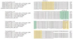 Nucleotide sequence alignment of the VP5 gene for the OBP vaccine AHSV-1 strain (GenBank accession no. KT030334), Thailand AHSV-1 field isolate (accession no. MT711962), and AHSV-1 field isolate sequences from earlier studies (accession nos. EU303175, KX987212, AM883169 and KT187161) at the 1321–1559 region (numbering according to the OBP AHSV-1 isolate), by multiple sequence alignment tool in Clustal Omega (https://www.ebi.ac.uk/Tools/msa/clustalo). Yellow indicates the the forward and reverse primer binding regions and green the probe-binding region (VP5-DIVA-P1 or P2). AHSV, African horse sickness virus; DIVA, Differentiating Infected from Vaccinated Animals; OBP, Onderstepoort Biologic Products (https://www.obpvaccines.co.za); VP, viral protein. 