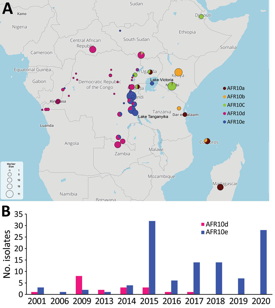 A) Spatiotemporal dynamics of the AFR10 clades of Vibrio cholerae O1 in the African Great Lakes Region, Africa, 1998–2020. Circle size indicates the number of isolates at the location concerned. The 5 AFR10 clades are color-coded: AFR10a, brown; AFR10b, yellow; AFR10c, green; AFR10d, pink; and AFR10e, blue. B) V. cholerae O1 isolates from the Lake Tanganyika basin. All AFR10 isolates from Bujumbura (Burundi), Kigoma (Tanzania) and the South-Kivu province (DRC) were considered to be Lake Tanganyika basin isolates.