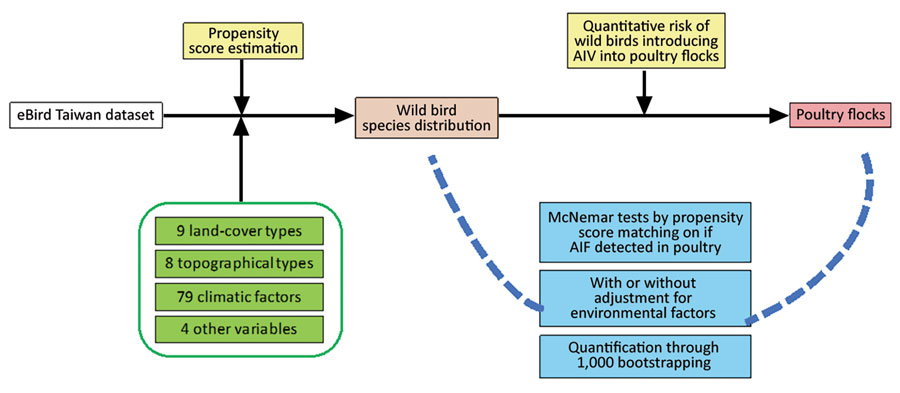 Framework of the analyses performed to map the risk of wild birds introducing avian influenza virus (AIV) into poultry farms for study of integrating citizen scientist data into the surveillance system for avian influenza virus, Taiwan.