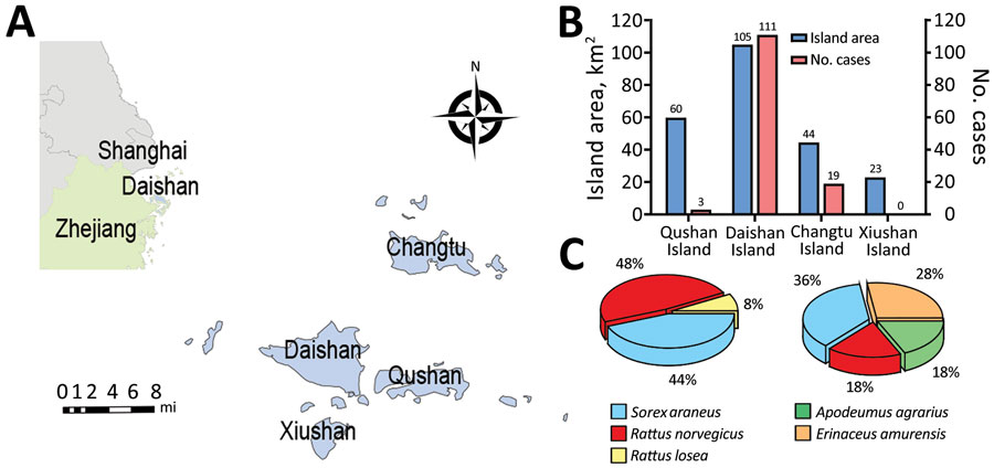 Association between hedgehogs and SFTSV endemicity of locations in China in study of hedgehogs as amplifying hosts of SFTSV. A) The main islands of Daishan County, Zhejiang Province, China. Inset shows location of Daishan County in China. B) Land area and SFTS case numbers for major islands in Daishan County. C) Species and relative rate of wild animals collected on Xiushan Island (left) and Daishan Island (right). SFTSV, severe fever with thrombocytopenia syndrome virus.