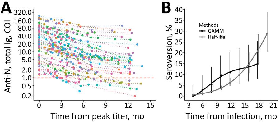 Longitudinal SARS-CoV-2 total anti-N immunoglobulin contraction and estimated seroreversion over time in a study of healthcare workers in Boston, Massachusetts, USA, 2020. A) Consistency in contraction of individual-level total anti-N immunoglobulin levels over time when indexed against participants’ highest recorded sample value. Includes seropositive participants with and without registered SARS-CoV-2 PCR-positive test results and with >1 sampling time points after peak level (n = 90). Individual levels are indicated by colored points connected by a dotted line. Horizontal dashed red line indicates the cutoff index for seropositive (above) and seronegative (below) results. The lower limit of detection (COI 0.07) is outside the figure frame. B) Points indicating estimated rates of seroreversion from total anti-N immunoglobulin seropositive to seronegative by 2-month intervals. The half-life estimate is based on peak total anti-N immunoglobulin level of 37 COI and half-life of 128 days. Solid lines indicate quadratic polynomial trend; error bars indicate 95% CIs. Anti-N, nucleocapsid antibodies; COI, cutoff index; GAMM, generalized additive mixed-effect model.