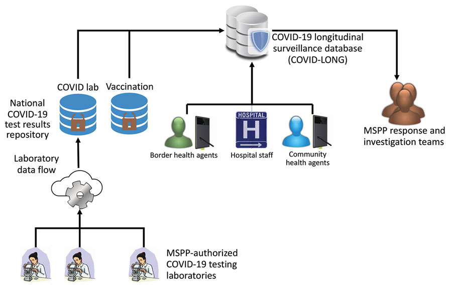 Dataflow of COVID-LONG system developed from US President’s Emergency Plan for AIDS Relief–supported HIV surveillance systems and used for COVID-19 pandemic response, Haiti. Testing laboratories, vaccination sites, hospitals, community, and border health facility agents uploaded data to the web-based system that was accessible by MSPP staff. COVID Lab, national dashboard of COVID-19 laboratory testing in Haiti; COVID-LONG, COVID-19 longitudinal surveillance database; MSPP, Ministère de la Santé Publique et de la Population.