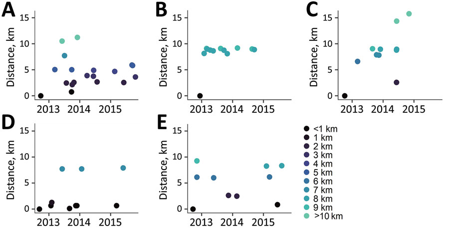 Incident tuberculosis by geographic distance from first study participant by genotypic cluster group (≤5 single-nucleotide polymorphisms) in study of high-resolution geospatial and genomic data to characterize recent tuberculosis transmission, Gaborone, Botswana, 2012–2016. Plots represent each participant by date of tuberculosis diagnosis and by geographic distance (based on participant’s primary residence) from the first participant (shown in each plot at a distance of 0 km) in each genotypic cluster group.