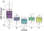 Pairwise SNP distances by ≤5 single-nucleotide polymorphism (SNP) genotypic cluster group in study of high-resolution geospatial and genomic data to characterize recent tuberculosis transmission, Gaborone, Botswana, 2012–2016. Box plots with individual data points superimposed display SNP distance summaries by group. Median within-group SNP distance was <5 SNPs for all groups except group A, which had a median of 7 SNPs. Horizontal lines within boxes indicate medians; box tops and bottoms indicate interquartile ranges; error bars indicate 95% CIs.