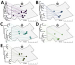 Representation of phylogenetic trees for Mycobacterium tuberculosis genotypic cluster groups A–E (≤5 single-nucleotide polymorphisms) projected onto geographic maps in study of high-resolution geospatial and genomic data to characterize recent tuberculosis transmission, Gaborone, Botswana, 2012–2016. The location of each M. tuberculosis isolate in the tree is displayed with a link drawn to its corresponding geographic location. Tree tips on the same bifurcating branches represent the most closely related isolates. 
