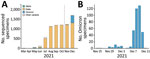 Distribution of SARS-CoV-2 viruses in New York, New York, USA. A) Temporal distribution of 7,237 sequenced viruses, March–December 2021. B) Temporal distribution of 392 Omicron viruses, November 25–December 11, 2021. 