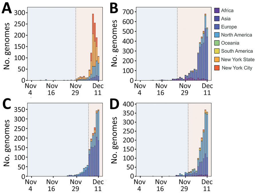 Distribution of SARS-CoV-2 Omicron variant virus isolates clustered into 4 main clades, including viruses identified in this study from New York, New York, USA, November 25–December 11, 2021, and viruses from various regions as obtained from GISAID (https://www.gisaid.org). A) Clade A. B) Clade B. C) Clade C. D) Clade D. For viruses from GISAID, regions were divided into Africa, Asia, Europe, North America (excluding New York state), Oceania, South America, and New York State. Vertical gray dashed lines are to the left of the time at which viruses within the indicated clade were detected in the city of New York during this study. Light blue shading represents the time before our detection of viruses within the indicated clade; light red shading represents the time after we detected the viruses. 