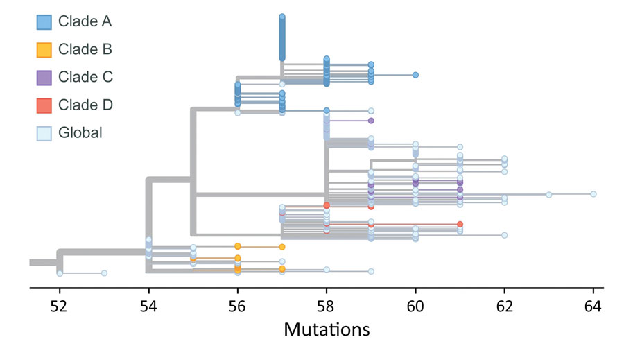 Phylogeny of viruses clustered into 4 main clades, including viruses identified in this study from New York, New York, USA, November 25–December 11, 2021, and contextual viruses in various regions from GISAID (https://www.gisaid.org). For each clade, we designated global viruses detected before the time at which we detected the virus within the clade in New York as contextual viruses for phylogeny construction. Colored dots represent viruses from New York by clade; light blue dots represent global contextual viruses.