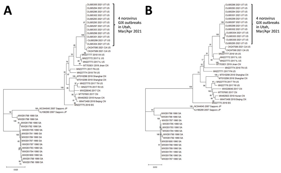 Phylogenetic comparisons of norovirus genes in study of cluster of norovirus genogroup IX outbreaks in long-term care facilities, Utah, USA, 2021. We generated phylogenetic trees by using the maximum-likelihood method and Tamura-Nei distance model (15). We compared nucleotide sequences of the RdRp gene (1,430 nt) (A) and major capsid gene (1,668 nt) (B) from the 12 sequences obtained from the 4 LTCF outbreaks with 33 GIX strains obtained from GenBank. The bootstrap percentages are shown next to the branches. We generated initial trees automatically by applying neighbor-joining algorithms to a matrix of pairwise distances estimated by using the maximum composite-likelihood approach and then selecting the topology with the superior log-likelihood value. We conducted evolutionary analyses by using MEGA11 software (15). Scale bars indicate nucleotide substitutions per site.