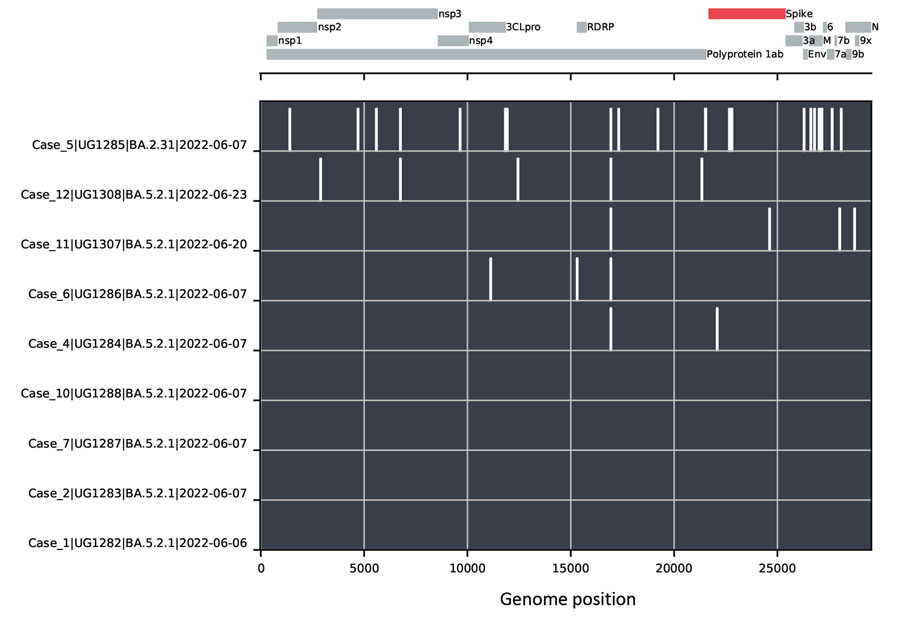 Nucleotide changes between SARS-CoV-2 genomes from a cluster of COVID-19–positive persons in Kyamulibwa, Kalungu District, rural Uganda. The lower portion of the chart shows nucleotide differences from the case 1 genome, plotted as white bars. The absence of bars in the BA.5.2.1 genomes from cases 1, 2, 7, and 10 indicates identical sequences. Case 5 was determined to be lineage BA.2.31, and cases 4, 6, 11, and 12 genomes demonstrated virus variants of lineage BA.5.2.1 distinct from the genomes from cases 1, 2, 7, and 10. A schematic of the SARS-CoV-2 genome is shown in the top portion of the chart, with protein coding regions marked. 