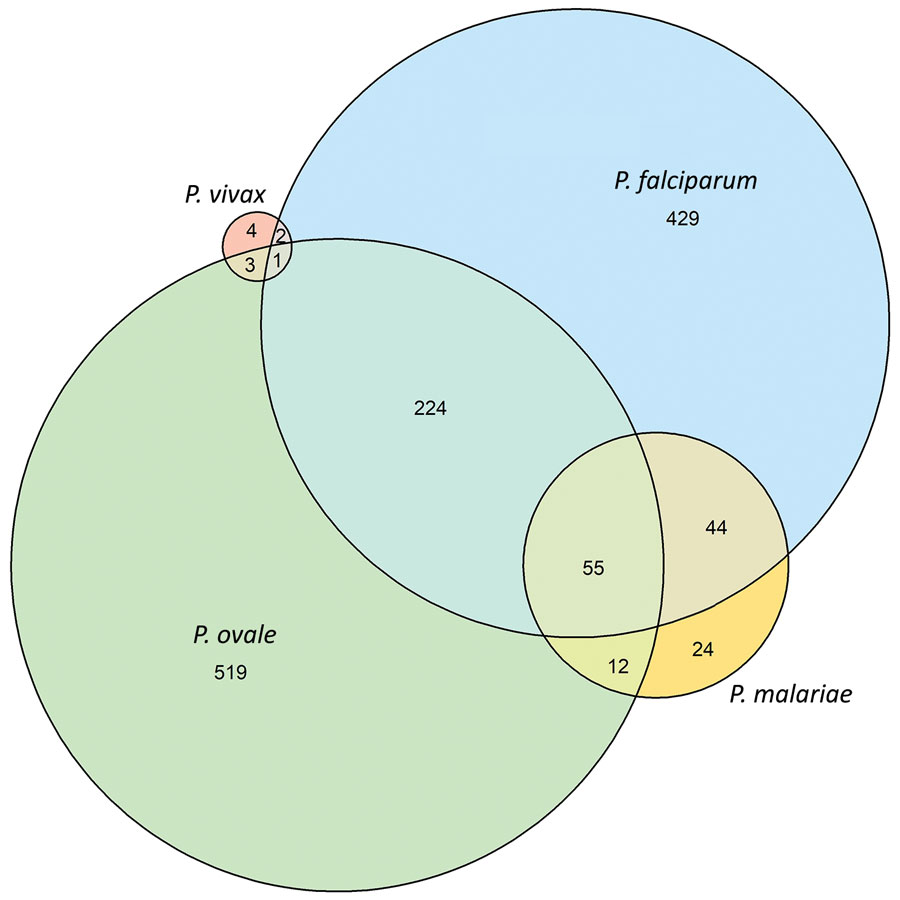 Distribution of Plasmodium spp. infections among schoolchildren, Tanzania. Prevalence estimates according to species: P. falciparum, 21.8% (95% CI 20.5%–23.3%, n = 755); P. ovale, 23.6% (95% CI 22.2%–25.0%, n = 814); P. malariae, 3.9% (95% CI 3.3%–4.6%, n = 136); P. vivax: 0.3% (95% CI 0.2%–0.6%, n = 11). P. vivax + P. malariae co-infection (n = 1) is not shown.