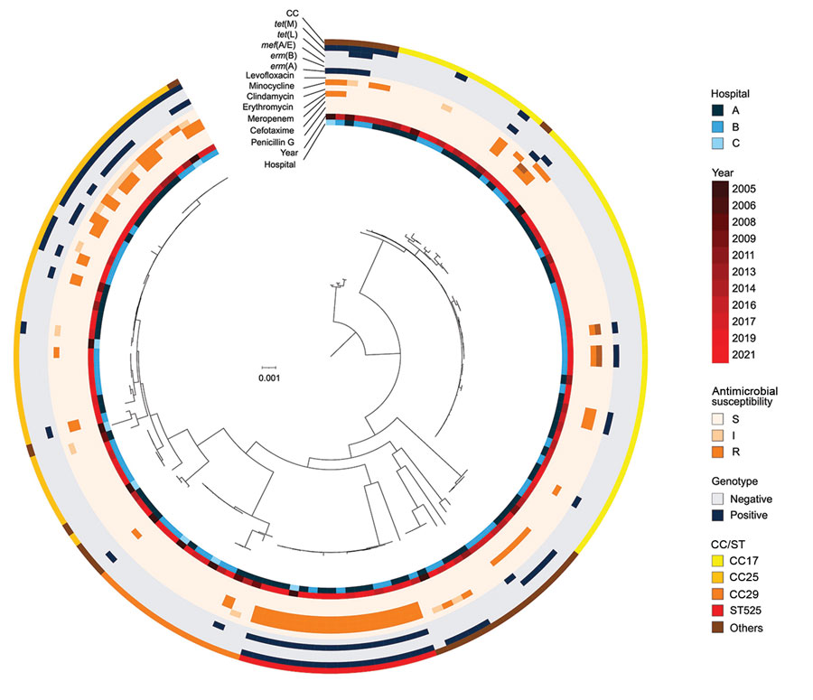 Phylogenetic tree of multidrug-resistant Streptococcus dysgalactiae subspecies equisimilis causing bacteremia, Japan, 2005–2021. From the center out, rings indicate hospital site, year of isolation, antimicrobial resistance, genotypes, and CC for each isolate. Scale bar indicates nucleotide substitutions per site. CC, clonal complex; I, intermediate; R, resistant; S, susceptible; ST, sequence type.