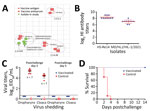 Antigenic difference of avian influenza (H5N1) virus isolates with H5 vaccine strains and protective efficacy of H5 vaccine against the challenge of H5N1 virus. A) Antigenic cartography of H5N1 viruses. The map was generated by using Antigenic Cartography software (https://acmacs-web.antigenic-cartography.org); 1 unit (grid) represents a 2-fold change in the HI assay results (Appendix 2 Table 7). B) HI antibody titers of vaccinated chickens against the vaccine seed virus and the challenge strain. C) Virus shedding from chickens on postchallenge days 3 and 5. D) Survival patterns of chickens in the vaccinated and control groups after challenge with the indicated H5N1 virus. EID50, 50% egg infectious dose; HI, hemagglutination inhibition.