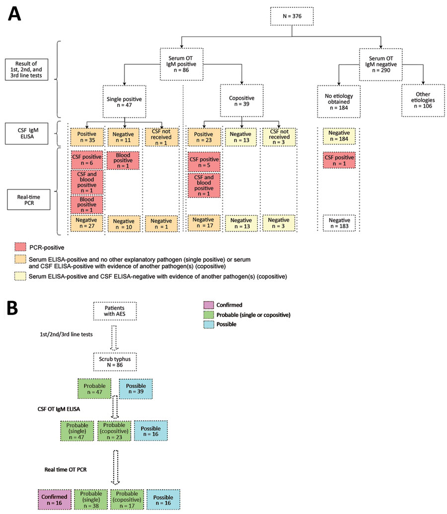 Results of microbiological tests for scrub typhus (A) and diagnostic association of scrub typhus with acute encephalitis syndrome (B) in children, southern India. AES, acute encephalitis syndrome; CSF, cerebrospinal fluid; OT, Orientia tsutsugamushi.